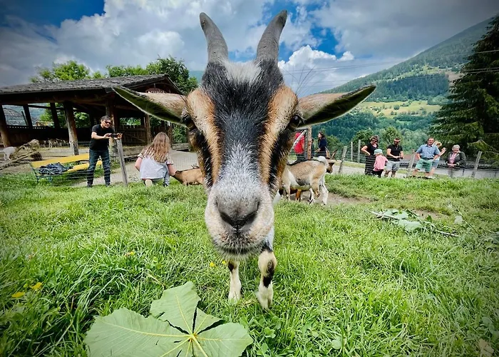 Apartman Sunshine @ Rosie Design *